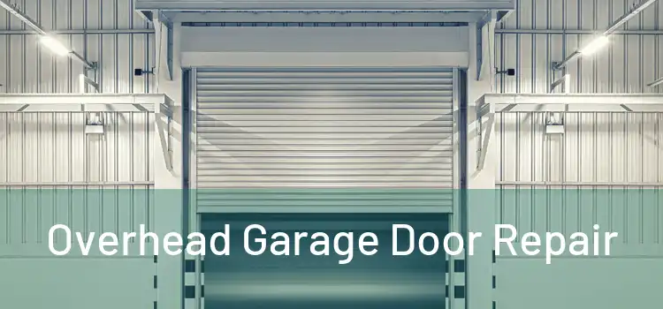  Overhead Garage Door Repair 